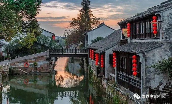 漂亮鹦鹉救援